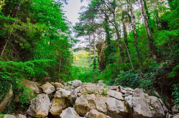 Uma longa muralha de pedra.