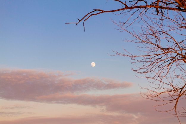 Uma lua cheia é vista no céu.