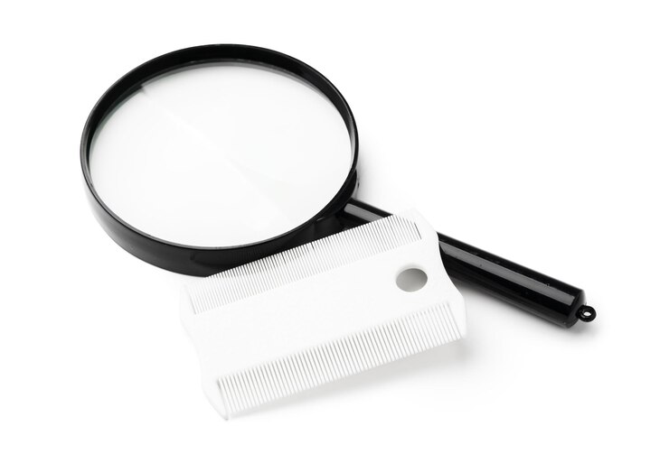 Foto uma lupa e um pente de piolhos colocados lado a lado em um fundo branco limpo