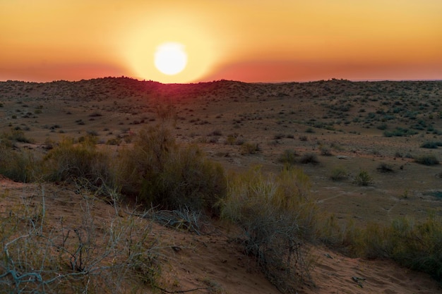 uma luz do sol da tarde em um deserto