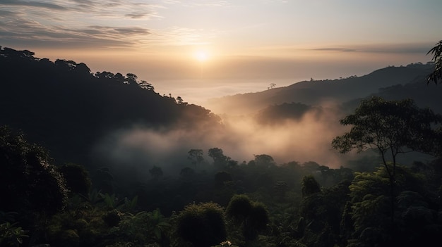 Uma manhã enevoada na selva