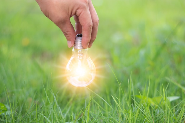 Uma mão de homem pegando a lâmpada de luz com luz gráfica comptuer, Sucesso e inovação, conceito de ideia com grama verde e fundo desfocado da natureza