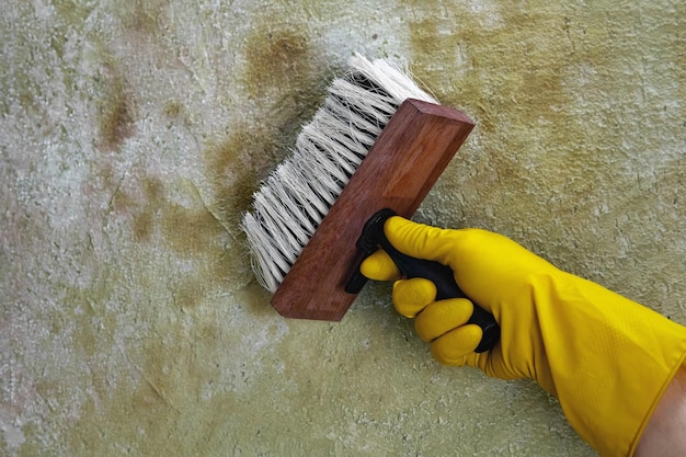 Uma mão em luvas de borracha amarela aplica uma solução antimofo com um pincel em uma parede de concreto