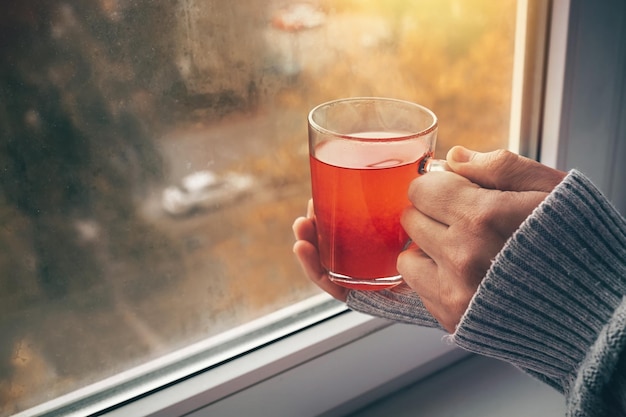 Uma mão segura uma xícara de chá quente perto da janela em um dia frio de outono Atmosfera caseira aconchegante no outono