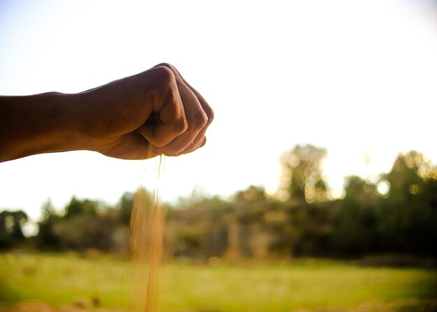 Foto uma mão segurando um grão em um campo