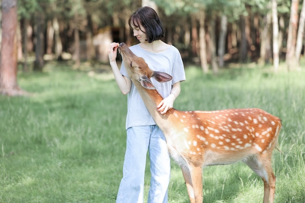 Uma menina alimentando bambi bonito cervo manchado no zoológico. Garota viajante feliz gosta de se socializar com animais selvagens no parque nacional no verão. Veado filhote brincando com pessoas em contato com o zoológico