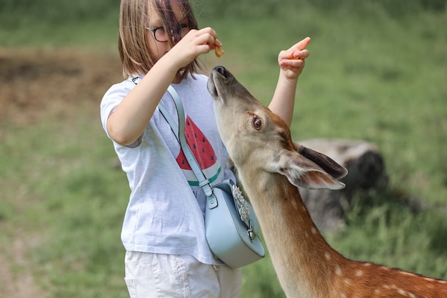 Uma menina alimentando bambi bonito veado manchado no zoológico. Garota viajante feliz gosta de se socializar com animais selvagens no parque nacional no verão. Veado filhote brincando com pessoas em contato com o zoológico