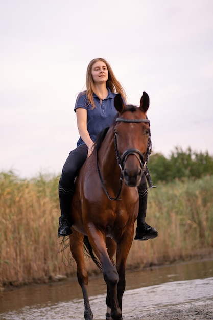 Foto uma menina andando a cavalo em um lago raso, um cavalo corre na água no sunse