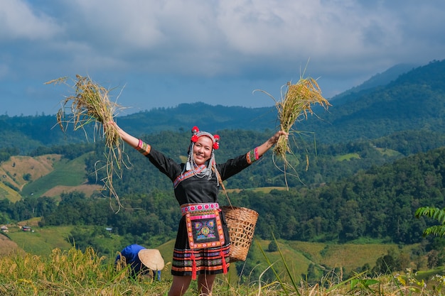 Uma menina bonita do fazendeiro com palha nos campos de arroz no norte da tailândia