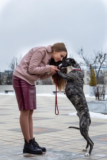 uma menina bonita loira está sentada empenhada em treinar um cão whippet na rua da cidade