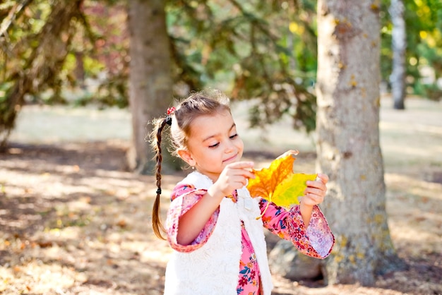 Uma menina caminha na floresta de outono com uma linda folha amarela caída. Uma garota alegre sorri e segura uma grande folha brilhante de uma árvore.