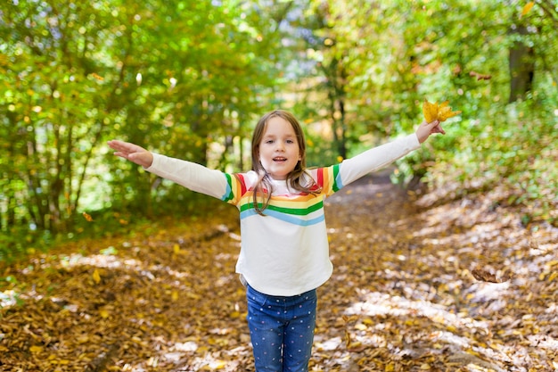 Uma menina caminha pela floresta de outono em dia de sol e recolhe folhas amarelas.