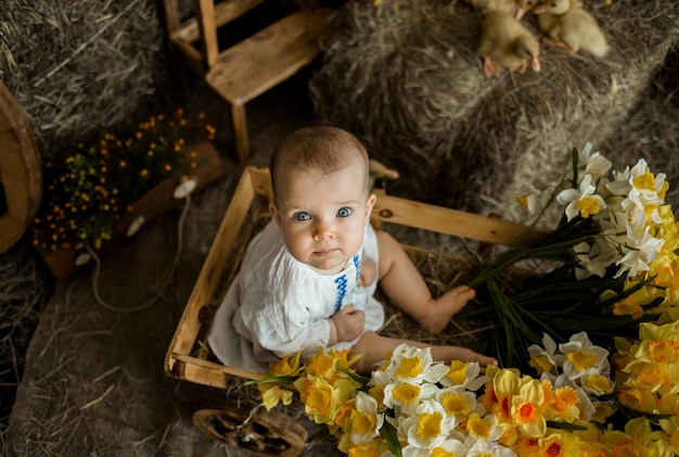 Uma menina caucasiana de olhos azuis está sentada em um vestido de linho branco em uma carroça de madeira contra a superfície de feno com patinhos. Comemoração da páscoa crianças