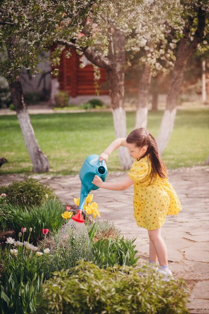 Uma menina com um vestido amarelo rega diligentemente as tulipas de um regador.