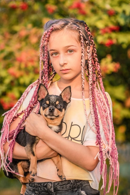 Uma menina e um cachorrinho Uma menina com tranças com um cachorro chihuahua nos braços