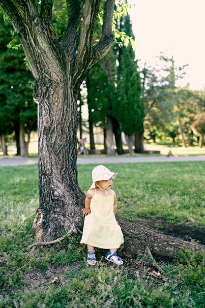 Uma menina está apoiada nas raízes de uma enorme árvore no parque