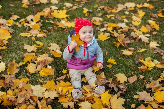 Uma menina está sentada em um gramado em um parque na folhagem amarela do outono