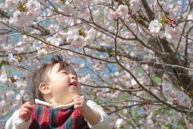 Uma menina feliz olhando para as flores de cerejeira