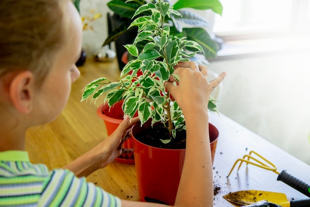 uma menina planta uma planta