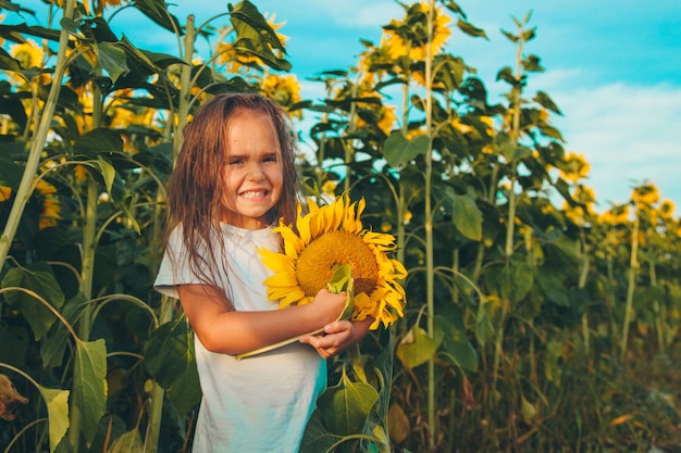 Uma menina segura um grande girassol florescendo. pétalas de girassol amarelas. um fundo natural associado ao verão. preparando para a colheita