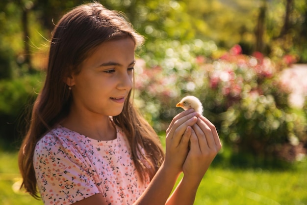 uma menina segura uma galinha em suas mãos em uma fazenda estudando agricultura no campo