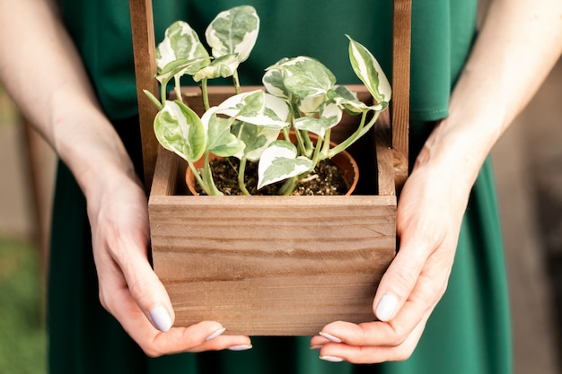 Foto uma menina segura uma planta de casa em uma caixa de madeira