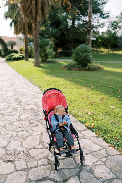 Foto uma menina sorridente senta-se num carrinho de bebé num caminho num parque verde