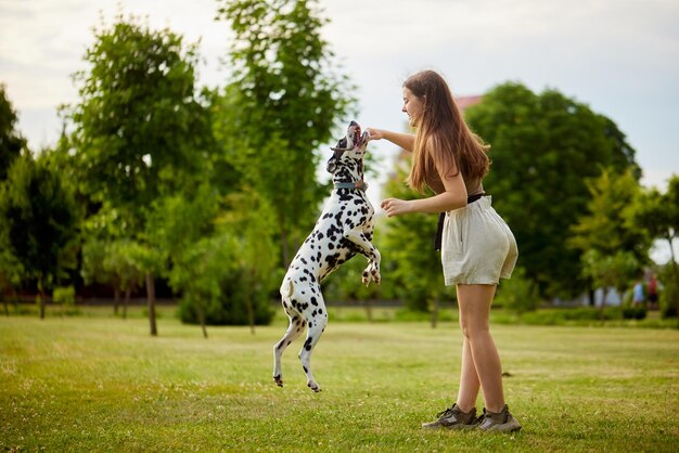 Uma menina trata um cão dalmático no conceito de treinamento de cães do parque