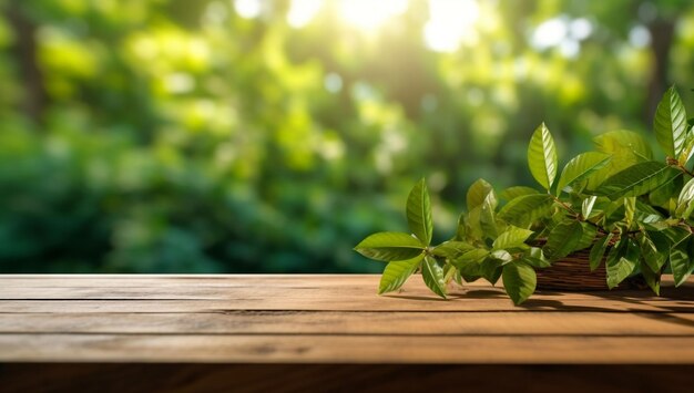 Uma mesa de madeira com uma planta sobre ela e um fundo verde