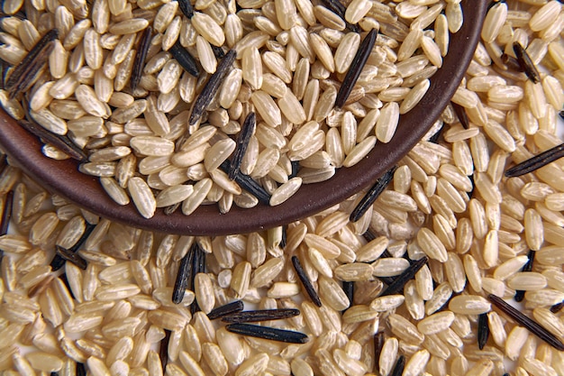 Uma mistura de arroz selvagem não polido marrom e preto em uma tigela de cerâmica de argila fechada contra o fundo de grãos de arroz dispersos