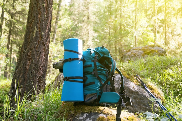 Foto uma mochila verde perto de uma árvore na floresta.