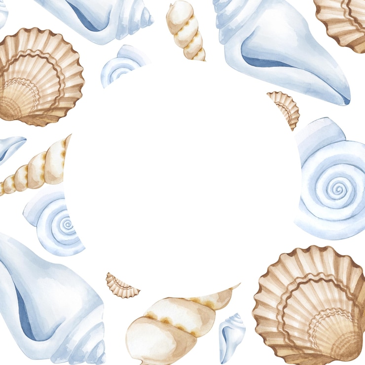 Foto uma moldura quadrada com várias conchas aquareladas pintadas à mão conchas marinhas castanhas e brancas beige ilustração aquarelada em fundo branco tema marinho espaço vazio para inserção
