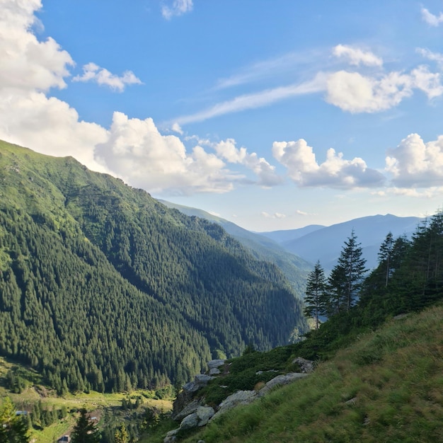 Uma montanha verde com árvores e céu azul