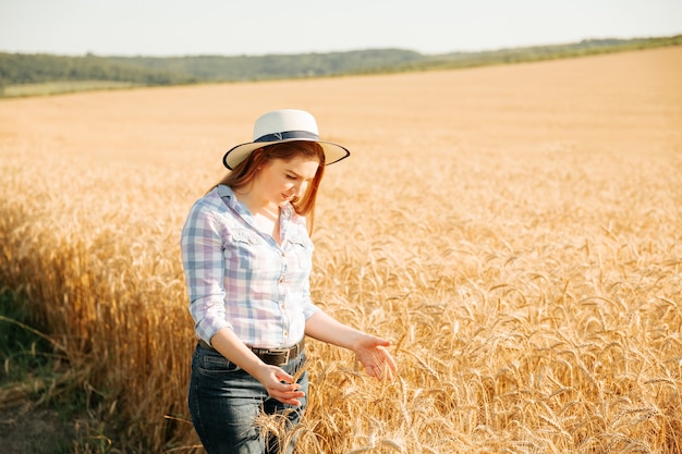 Uma mulher agricultora com especialista em plantas de chapéu analisando o campo de trigo conceito ecologia bio produto inspe ...