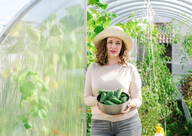 Uma mulher agricultora trabalhando em estufa orgânica. Mulher cultivando legumes