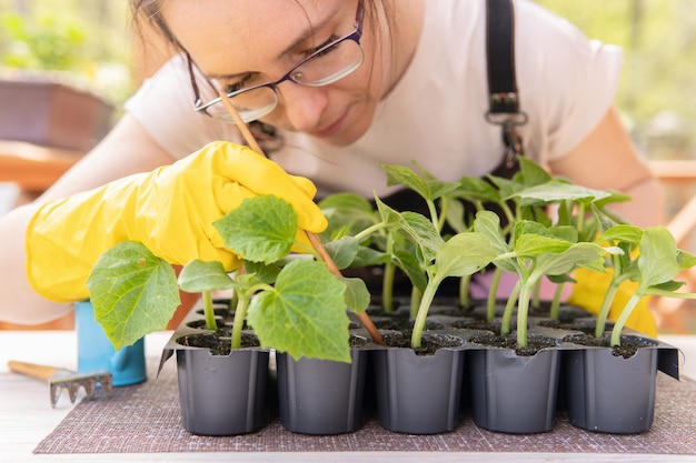 Uma mulher bonita está plantando mudas no jardim