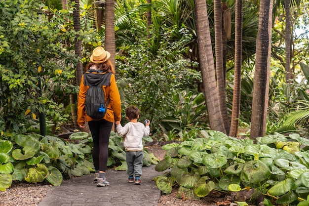 Uma mulher com seu filho caminhando em um jardim botânico caminhando com a família de férias