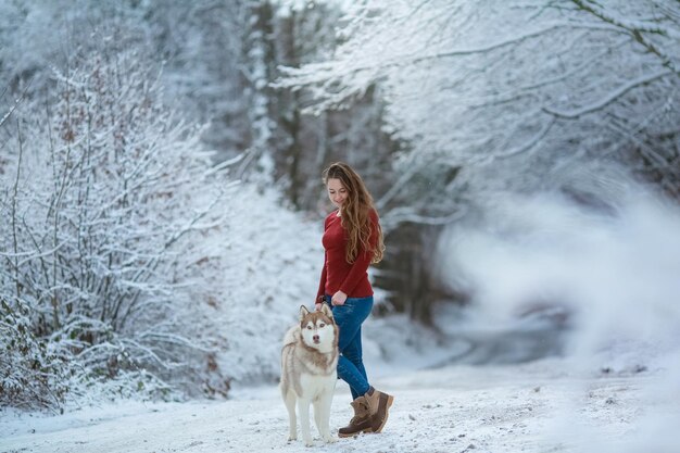 Uma mulher com um cão husky de raça pura em uma estrada na floresta com neve