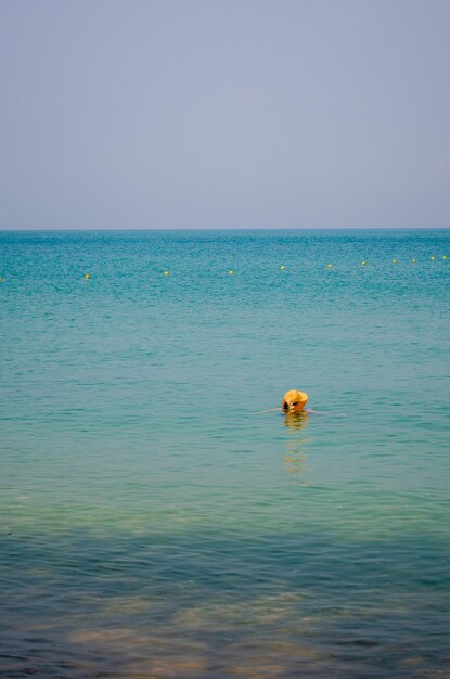 Uma mulher com um chapéu de palha nada no mar O conceito de férias de verão no mar Copie o espaço