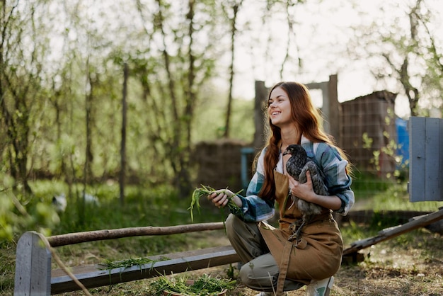 Foto uma mulher com uma galinha na mão verifica a frescura da ração orgânica no alimentador de pássaros em uma fazenda orgânica