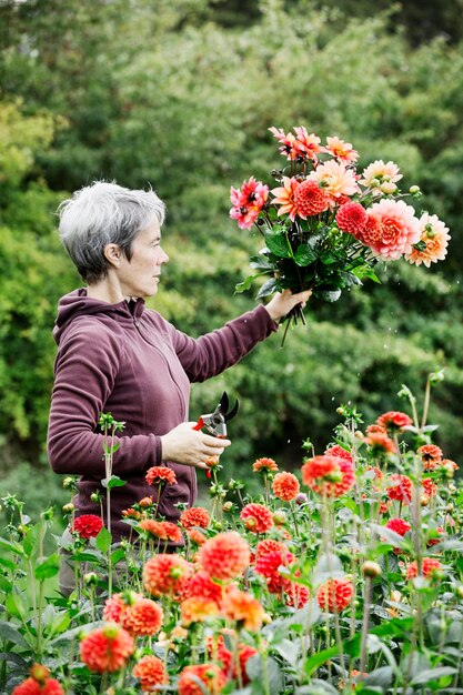 Uma mulher cortando flores em um jardim de flores de berçário de plantas comerciais orgânicas