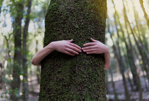 Uma mulher de vestido branco no meio da floresta