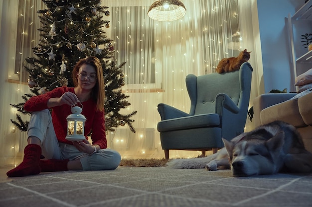 Uma mulher decora uma lanterna de Natal sentada no chão ao lado de uma árvore de Natal um gato e um cachorro estão dormindo nas proximidades
