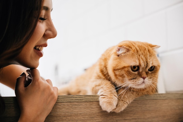 Uma mulher e seu lúdico gato Scottish Fold compartilham um momento de felicidade e união em uma mesa em casa. Seu vínculo é uma ilustração comovente do amor por animais de estimação.