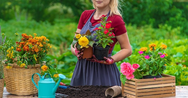 Uma mulher está plantando flores no jardim Foco seletivo
