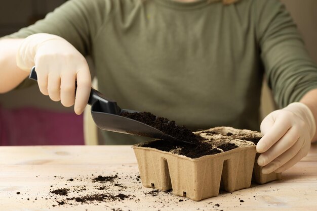 Uma mulher está plantando sementes de vegetais em vasos de turfa Cultivando mudas de plantas em vasos Passatempo doméstico