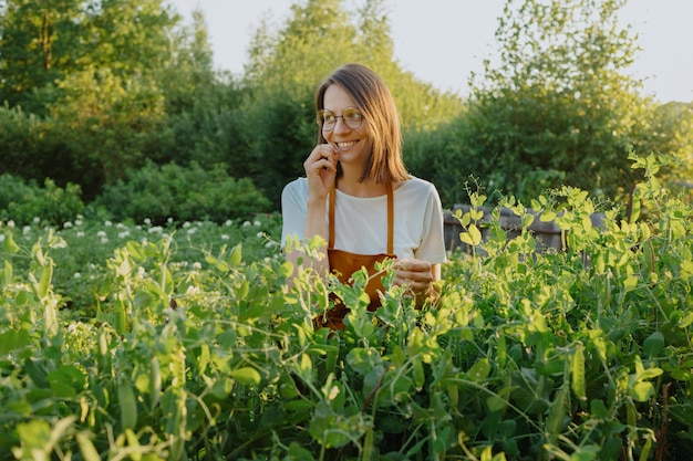 Uma mulher europeia com um avental laranja está colhendo pepinos e ervilhas em seu jardim, uma jardineira