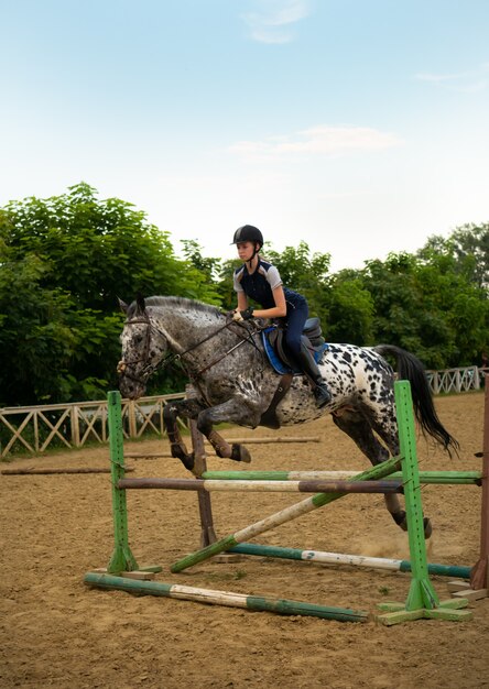 Jóquei Feminino Em Um Cavalo De Baía Escura Pulando Os Obstáculos