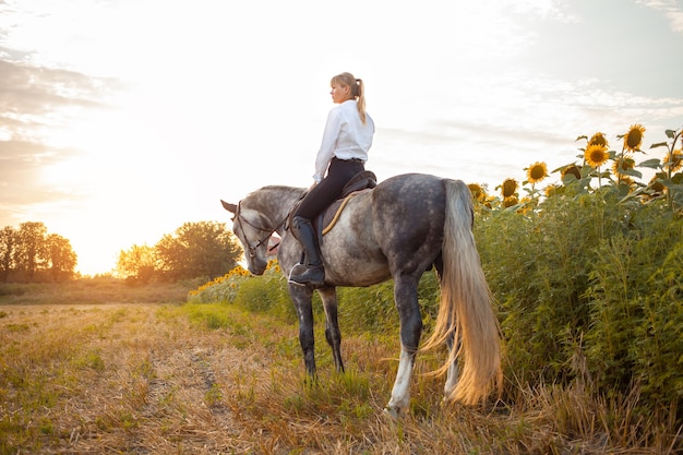 Uma mulher monta um cavalo cinza em um campo ao pôr do sol. Liberdade, fundo bonito, amizade e amor pelo animal. Treino desportivo equestre, aluguer e venda de cavalos, passeios pedestres, equitação, passeios pedestres.