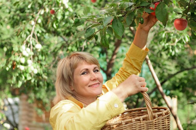 Uma mulher no jardim colhe abobrinha de outono. Mulher de meia-idade